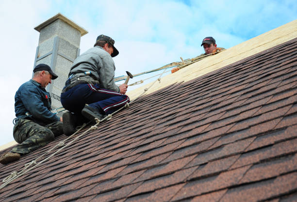 Best Roof Waterproofing Services  in Bayou Lourse, LA